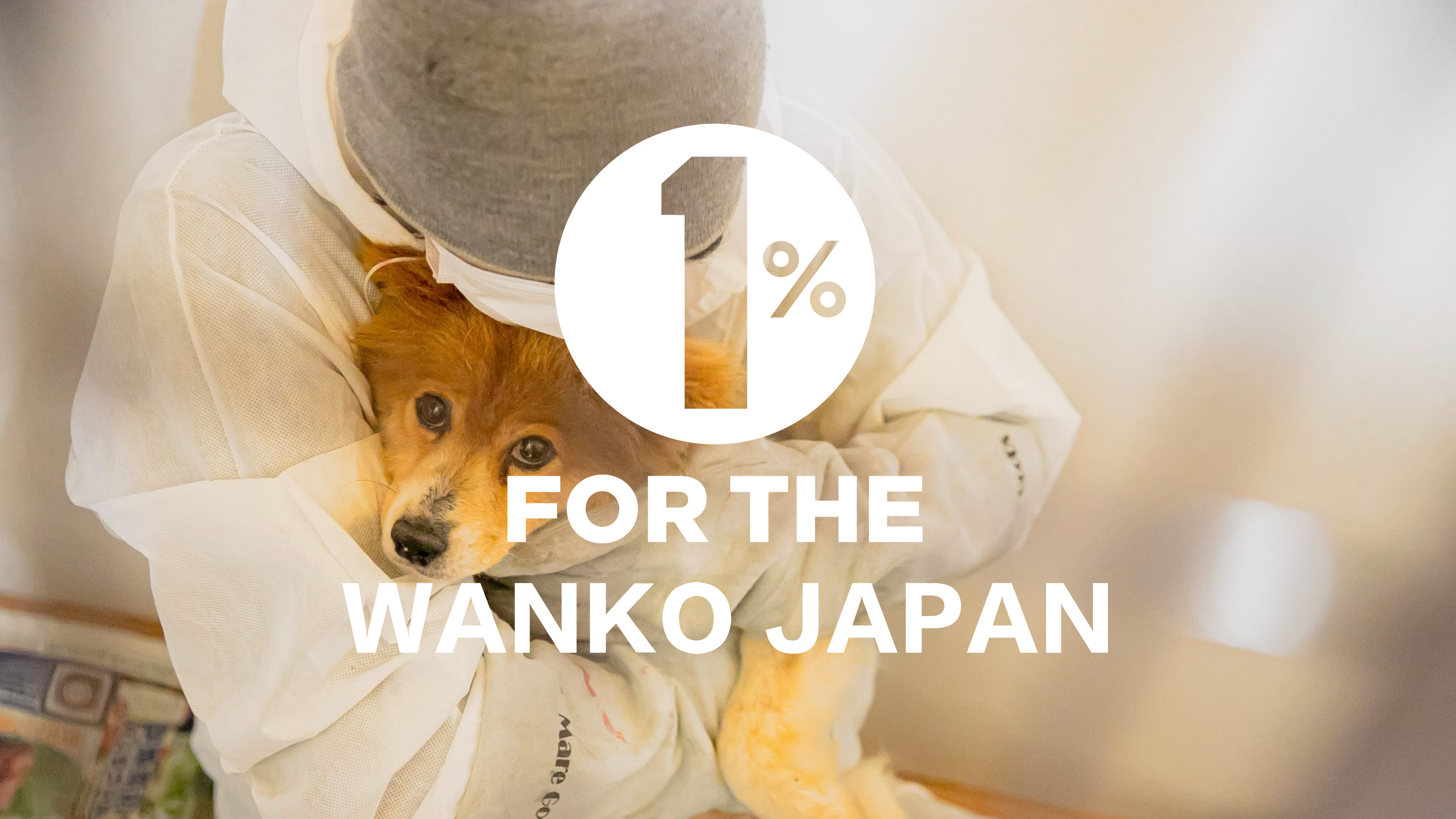 わんこたちに、少しでも多くの幸せを。