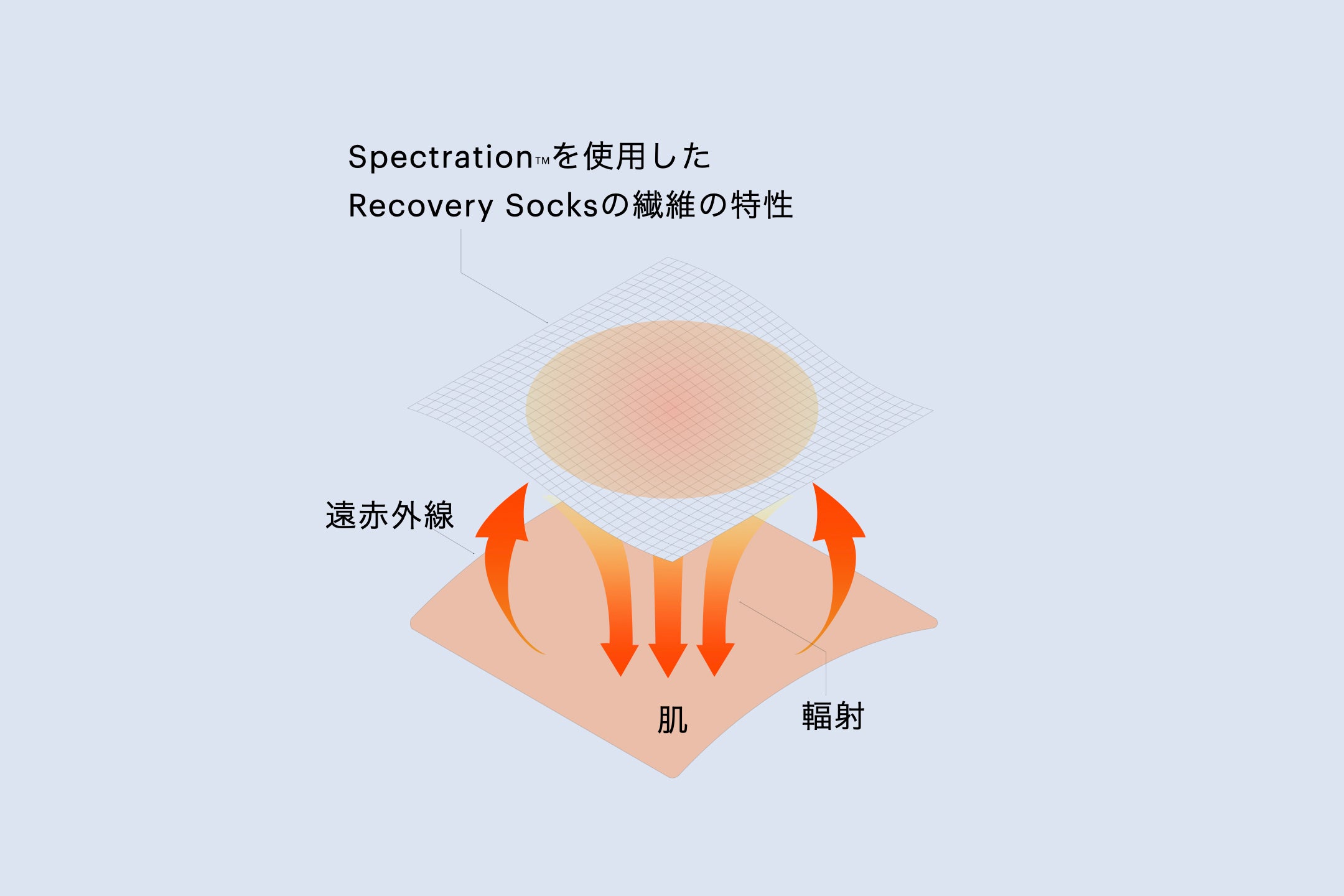 YOSHIRO SOCKS「SLEEP」